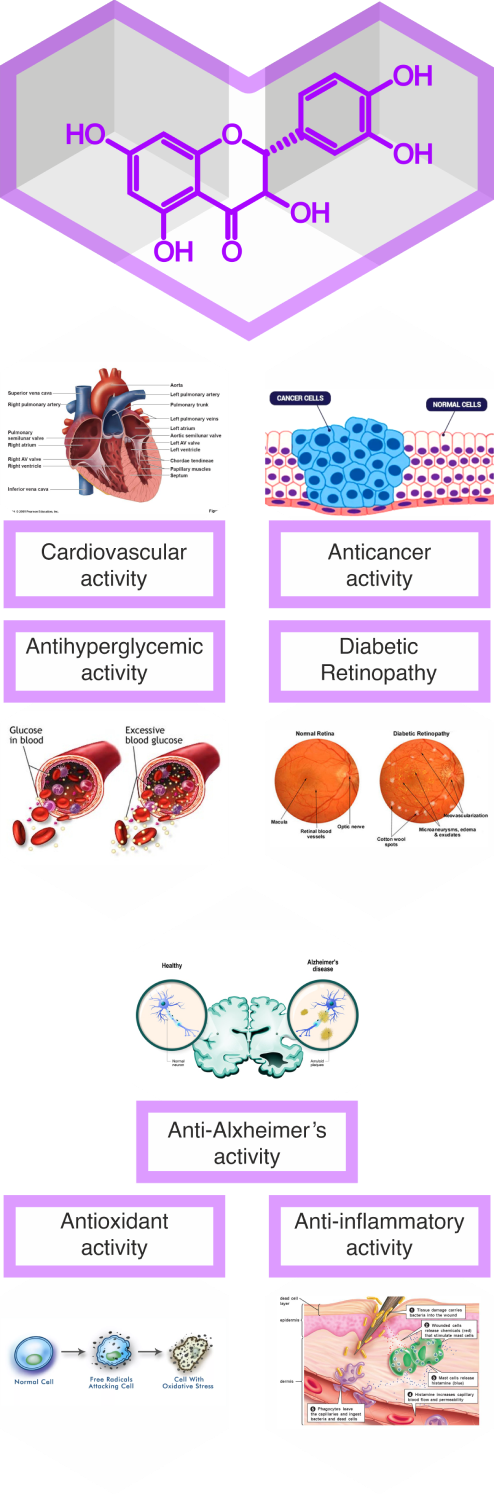 image about taxofolin